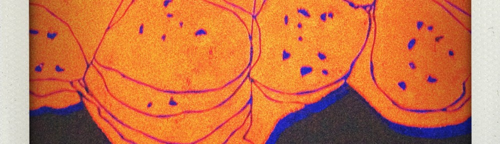 BUCHALOVS BLOG ••••••••