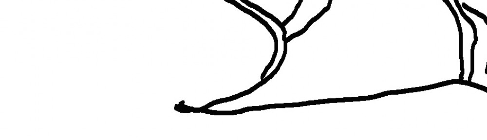 BUCHALOVS BLOG ••••••••