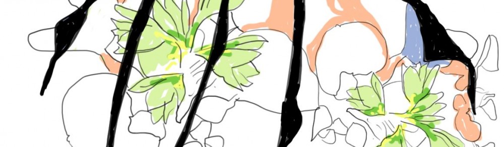 BUCHALOVS BLOG ••••••••