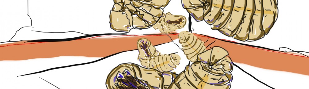 BUCHALOVS BLOG ••••••••