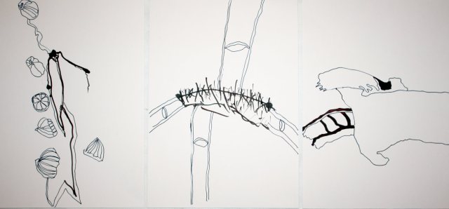 sammenzu (3teilig) – Version 3 (c) Zeichnung von J.Küster und S.Haun