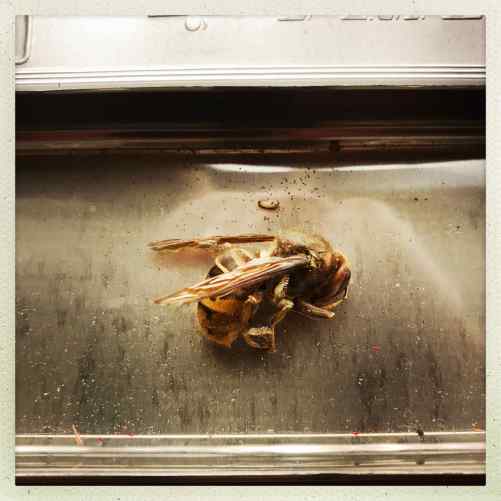 HipstamaticPhoto-556360431.187845