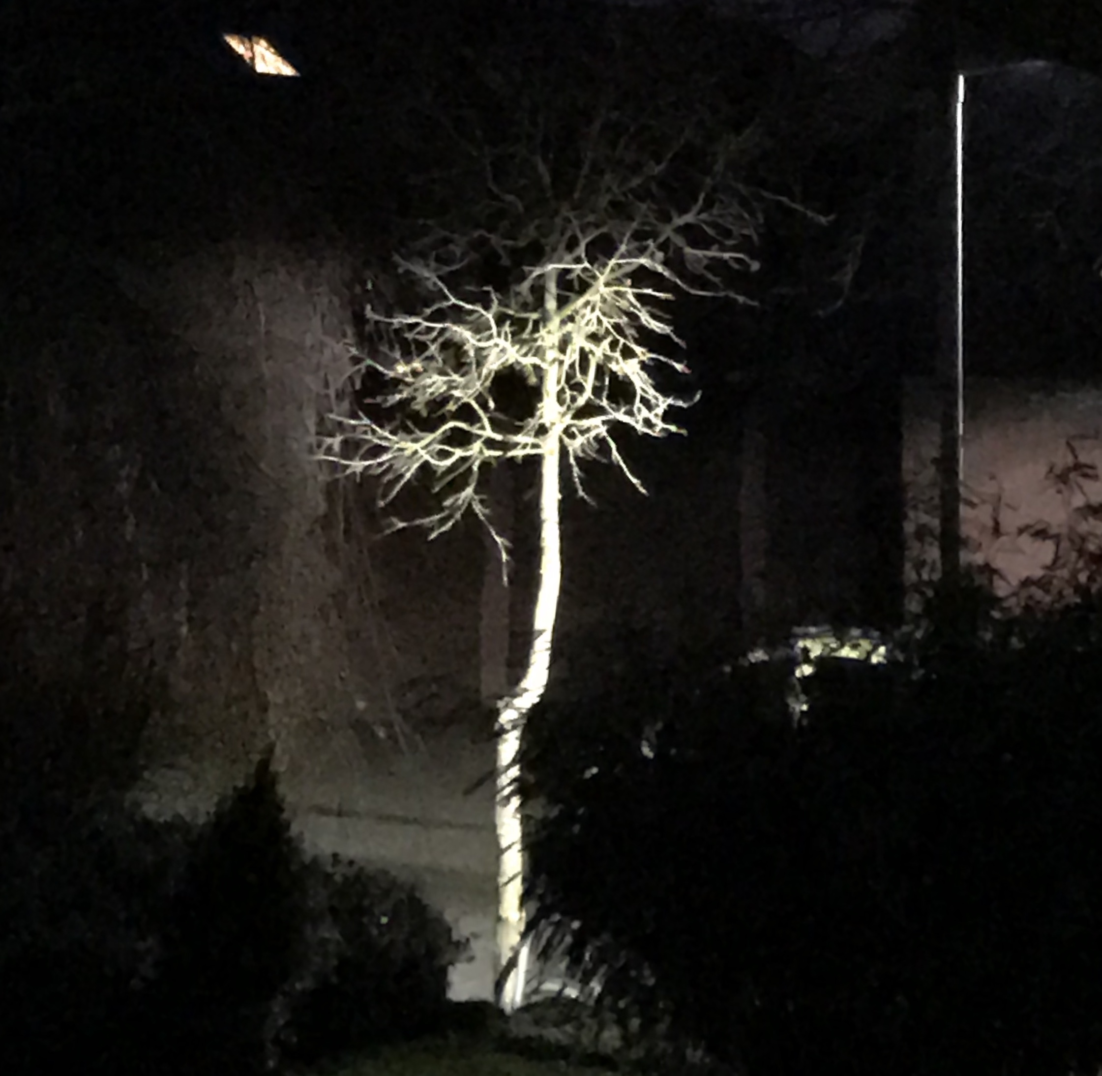 2020-01-05 17.34.04-2