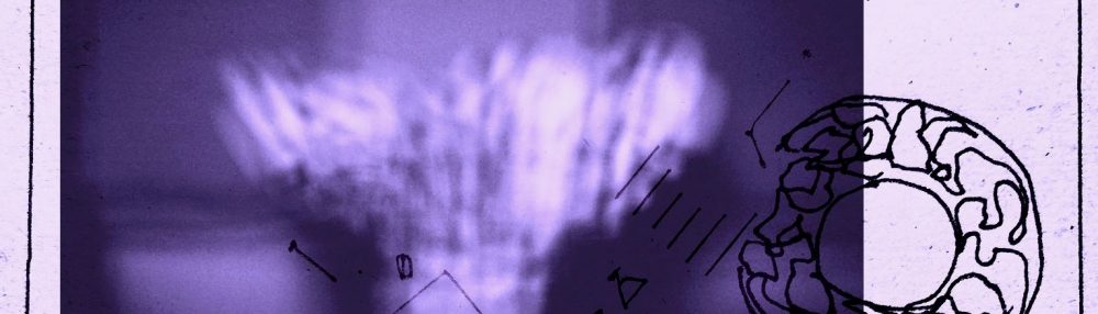 BUCHALOVS BLOG ••••••••