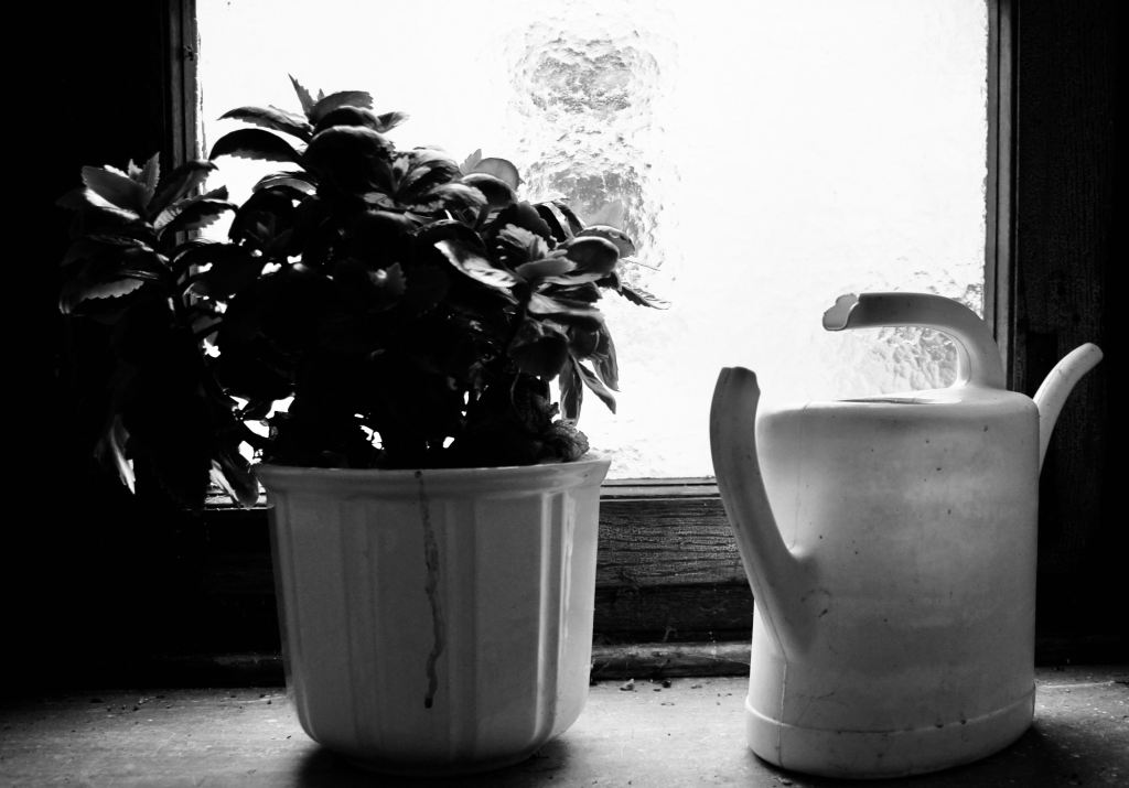 between | die Beziehung zwischen den Dingen | experimentelle Altglasfotografie